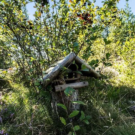Island Life With Undisturbed Nature And Calmness *