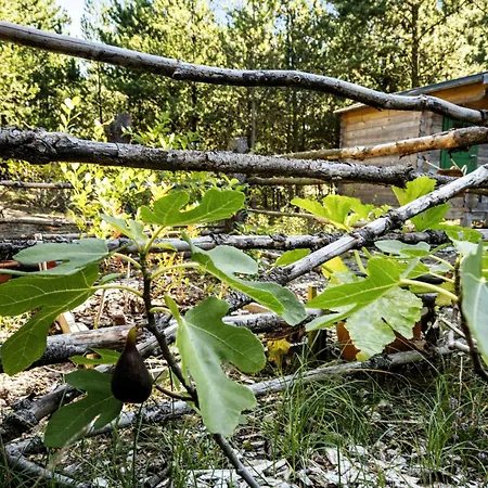 Island Life With Undisturbed Nature And Calmness Casa de Férias *